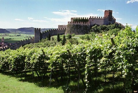 ZIZZAGANDO DALLA FRANCIACORTA AL VERONESE