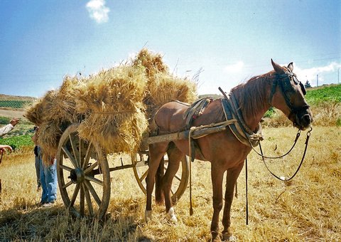Tour vino e gastronomia di Sicilia