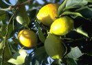 Gran Tour di Sicilia