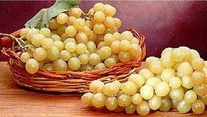 Uva da tavola