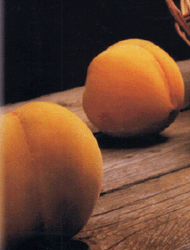 Pesche