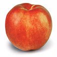 Nettarine