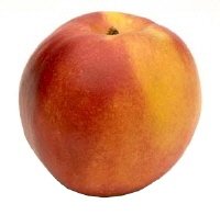 Nettarine