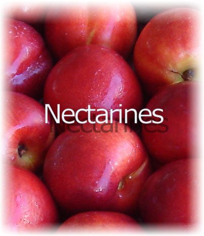 Nettarine