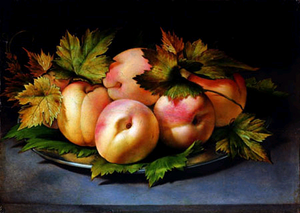 Pesche di Mazzarrone