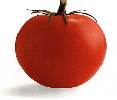 Commercializzazione di ortofrutta