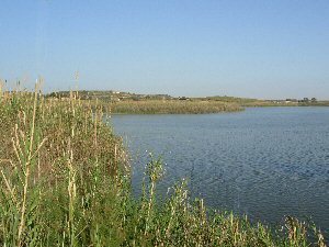 Riserva naturale Biviere Di Gela