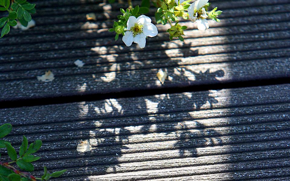 DECKING, PAVIMENTI PER ESTERNI, BORDO PISCINA IN WPC NATURinFORM