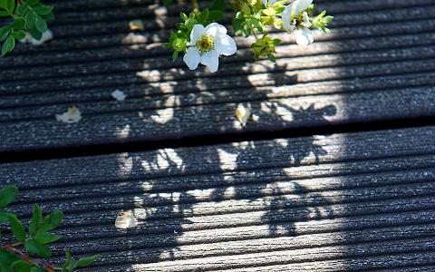 DECKING, PAVIMENTI PER ESTERNI, BORDO PISCINA IN WPC NATURinFORM