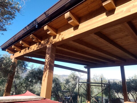 WhatsApp Image 2026-03-04 at 16.20.07 (2).jpeg