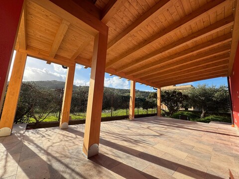 WhatsApp Image 2026-03-04 at 16.21.17 (9).jpeg