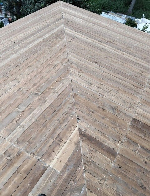 WhatsApp Image 2026-03-20 at 08.39.43 (1).jpeg