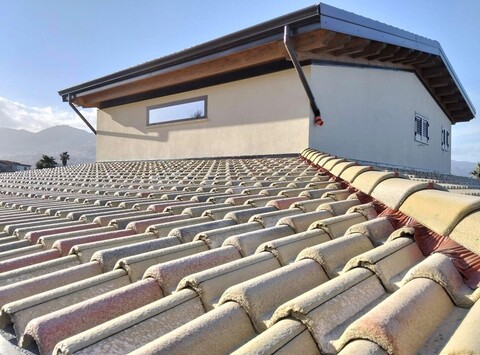 WhatsApp Image 2026-03-20 at 08.39.43 (4).jpeg