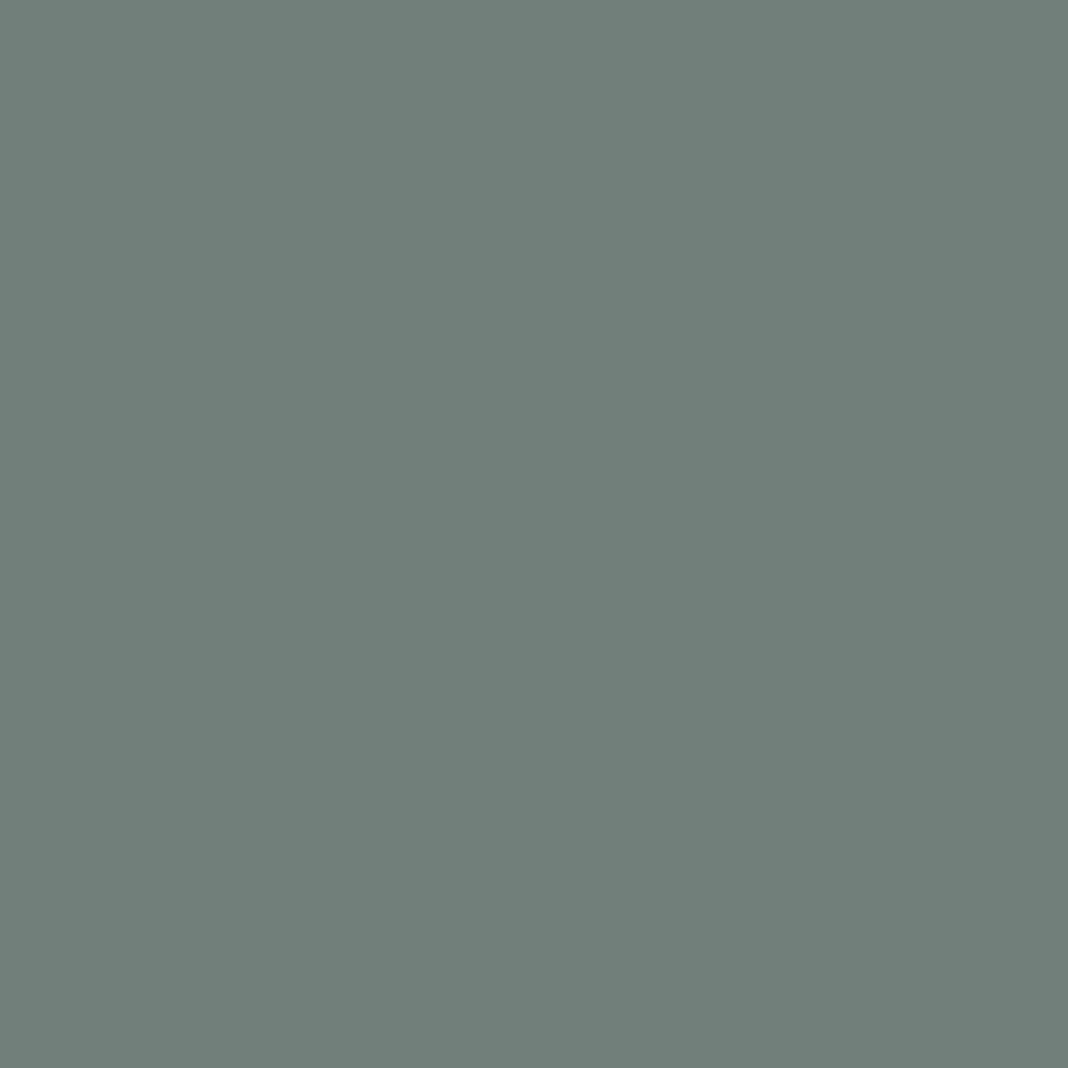 Smalto all'acqua per tutte le superfici Rio Verde Evolution RN 20xx