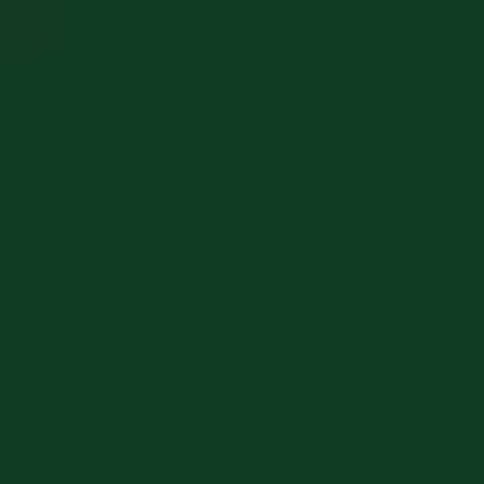 Smalto all'acqua per tutte le superfici Rio Verde Evolution RN 20xx