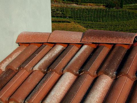 Sottocolmo di aerazione Wutop Rollnet
