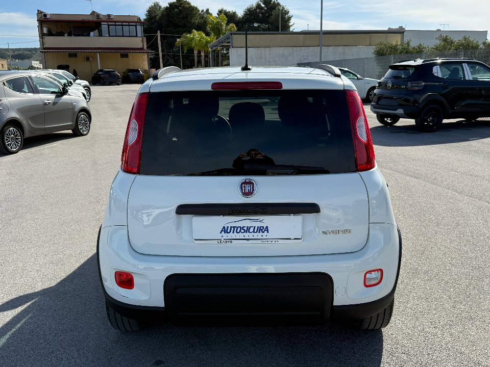 Fiat New Panda 1.0 FIREFLY HYBRID S&S 70 CV CITY LIFE Elettrica / Benzina