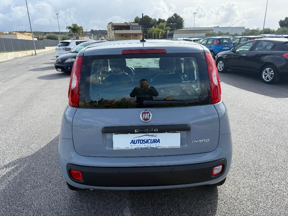 Fiat New Panda 1.0 FIREFLY HYBRID S&S 70 CV Elettrica / Benzina