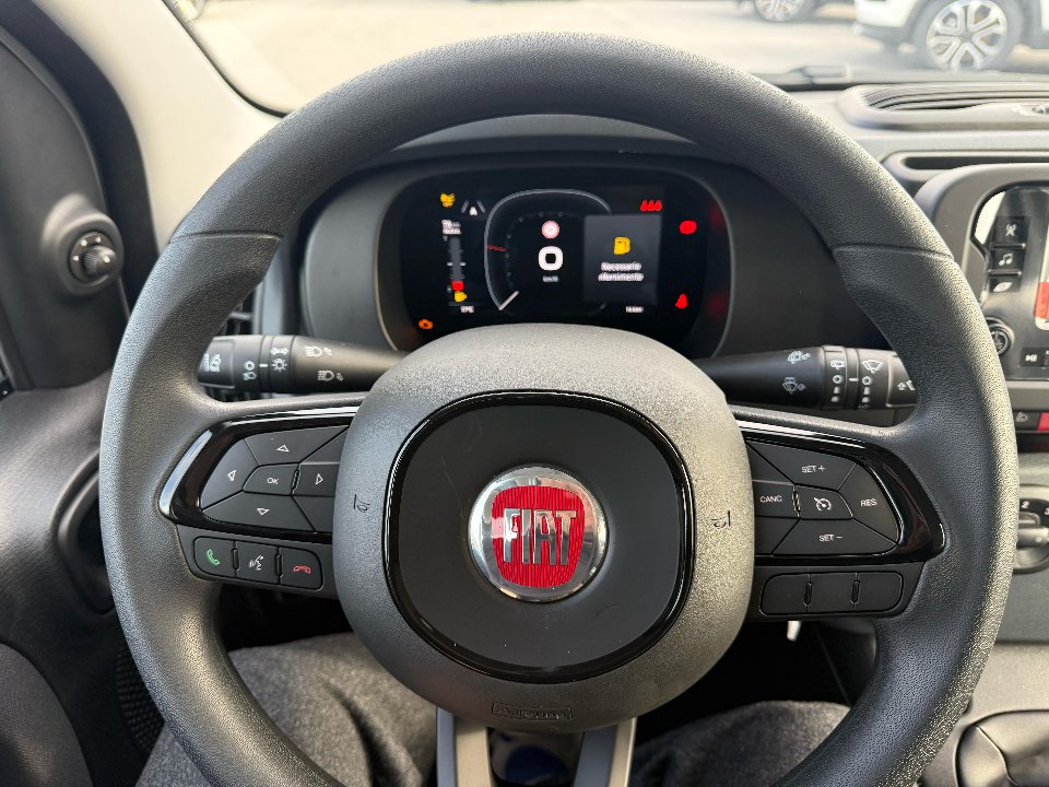 Fiat New Panda PANDINA 1.0 HYBRID S&S 70 CV MY25 Elettrica / Benzina