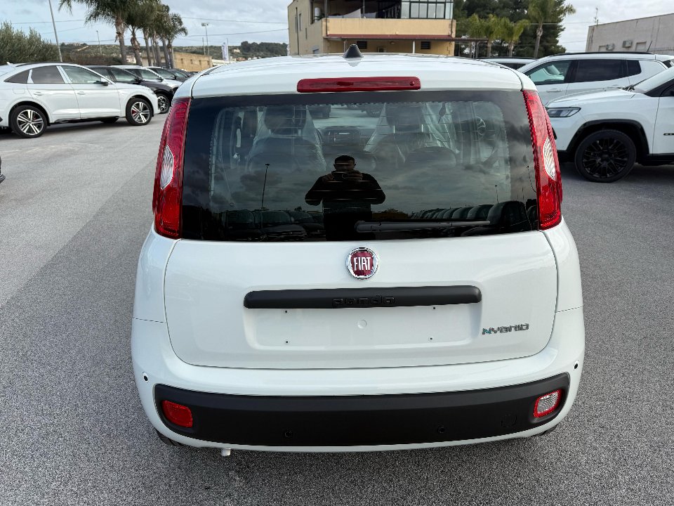 Fiat New Panda 1.0 HYBRID S&S 70 CV ICON MY25 KM0 Elettrica / Benzina