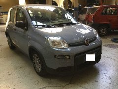 Fiat New Panda 1.0 FIREFLY HYBRID S&S 70 CV EASY Elettrica / Benzina