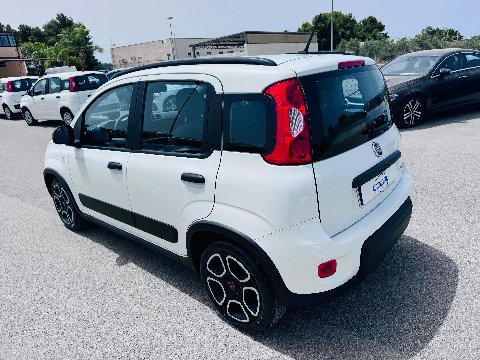 Fiat New Panda 1.0 FIREFLY HYBRID S&S 70 CV CITY LIFE Elettrica / Benzina