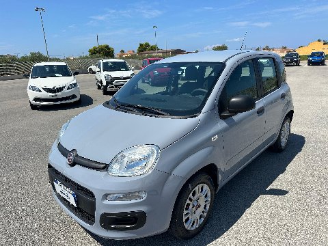 Fiat New Panda 1.2 69 CV EASY Benzina