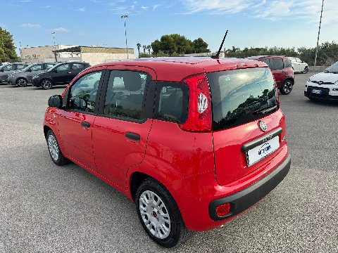 Fiat New Panda 1.0 FIREFLY HYBRID S&S 70 CV EASY Elettrica / Benzina