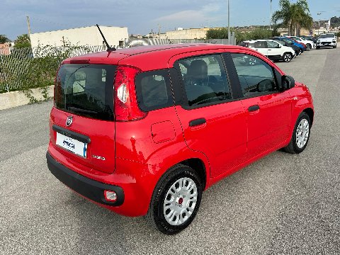 Fiat New Panda 1.0 FIREFLY HYBRID S&S 70 CV EASY Elettrica / Benzina