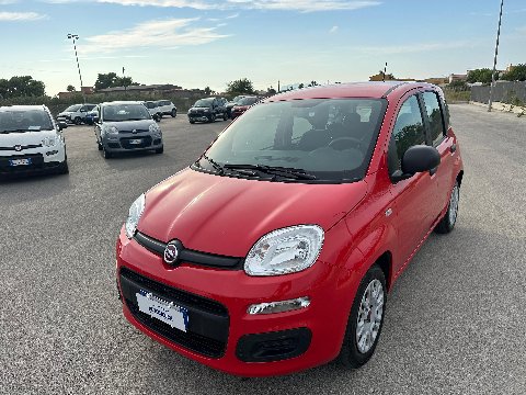 Fiat New Panda 1.0 FIREFLY HYBRID S&S 70 CV EASY Elettrica / Benzina