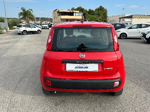 Fiat New Panda 1.0 FIREFLY HYBRID S&S 70 CV EASY Elettrica / Benzina