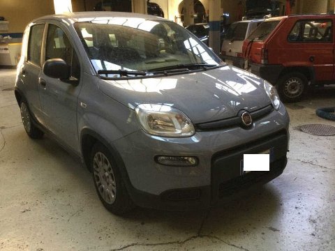 Fiat New Panda 1.0 FIREFLY HYBRID S&S 70 CV EASY Elettrica / Benzina