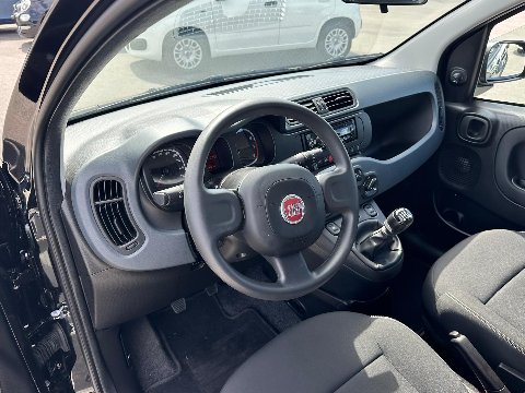 Fiat New Panda 1.0 FIREFLY HYBRID S&S 70 CV MY24 Elettrica / Benzina