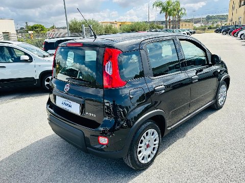 Fiat New Panda 1.0 FIREFLY HYBRID S&S 70 CV MY24 Elettrica / Benzina