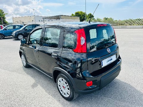 Fiat New Panda 1.0 FIREFLY HYBRID S&S 70 CV MY24 Elettrica / Benzina