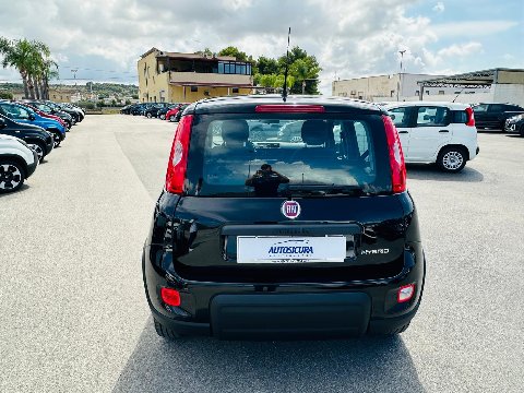 Fiat New Panda 1.0 FIREFLY HYBRID S&S 70 CV MY24 Elettrica / Benzina