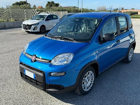 Fiat New Panda PANDINA 1.0 HYBRID S&S 70 CV MY24 Elettrica / Benzina