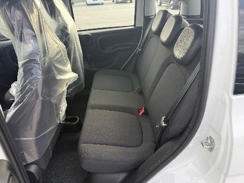 Fiat New Panda PANDINA 1.0 HYBRID S&S 70 CV MY25 Elettrica / Benzina