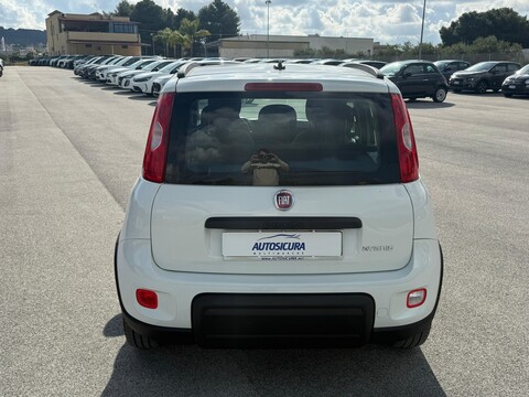 Fiat New Panda 1.0 HYBRID S&S 70 CV CITY LIFE Elettrica / Benzina