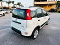 Fiat New Panda 1.0 HYBRID CITY LIFE 70 CV MY22 KM 0 Elettrica / Benzina