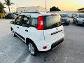 Fiat New Panda 1.0 HYBRID CITY LIFE 70 CV MY22 KM 0 Elettrica / Benzina
