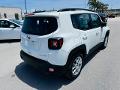 Jeep Renegade 1.0 T3 120 CV LIMITED FWD MY23 KM0 Benzina