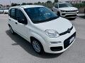 Fiat New Panda 1.0 FIREFLY HYBRID S&S 70 CV EASY Elettrica / Benzina