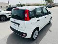Fiat New Panda 1.0 FIREFLY HYBRID S&S 70 CV EASY Elettrica / Benzina