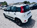 Fiat New Panda 1.0 FIREFLY HYBRID S&S 70 CV CITY LIFE Elettrica / Benzina