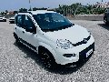 Fiat New Panda 1.0 FIREFLY HYBRID S&S 70 CV CITY LIFE Elettrica / Benzina