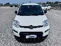 Fiat New Panda 1.0 FIREFLY HYBRID S&S 70 CV CITY LIFE Elettrica / Benzina