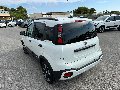 Fiat New Panda PANDINA 1.0 HYBRID S&S 70 CV CROSS KM0 MY24 Elettrica / Benzina