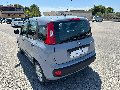 Fiat New Panda 1.2 69 CV EASY Benzina