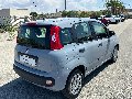 Fiat New Panda 1.2 69 CV EASY Benzina